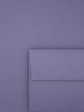Amethyst Lilac