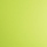 Terra Green - Astrobrights