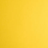 Solar Yellow - Astrobrights