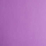 Planetary Purple - Astrobrights
